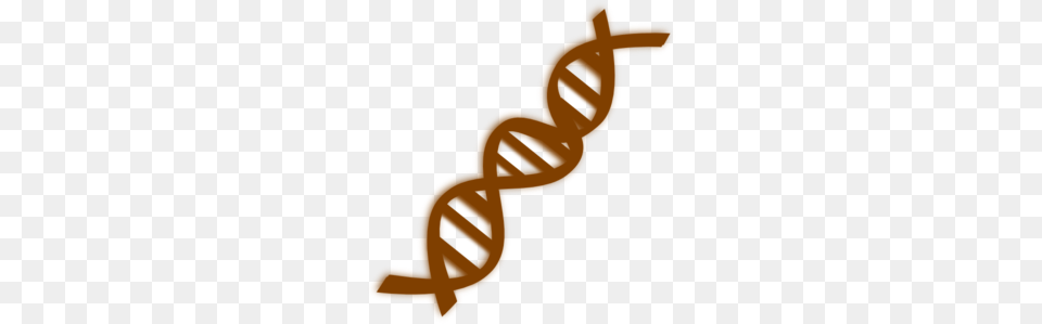 Dna Clip Art, Baby, Person, Knot Png Image