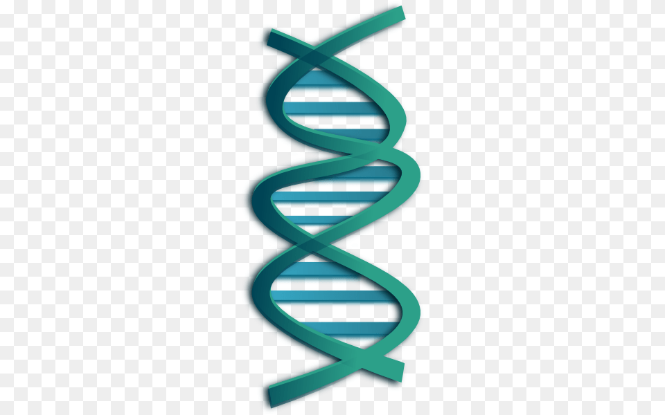 Dna Clip Art Dna Clip Art, Coil, Spiral, Blade, Razor Free Png