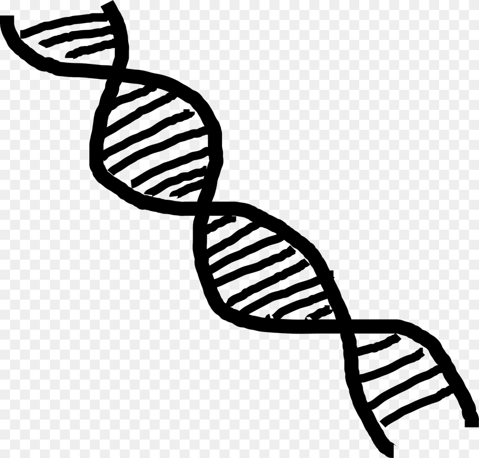 Dna Clipart, Rope, Spiral, Accessories, Formal Wear Free Png Download