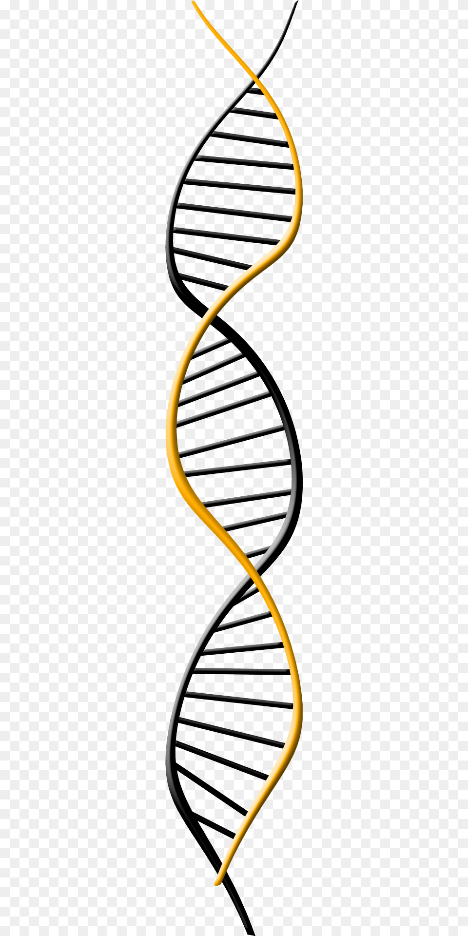 Dna Clipart, Coil, Spiral, Architecture, Building Png