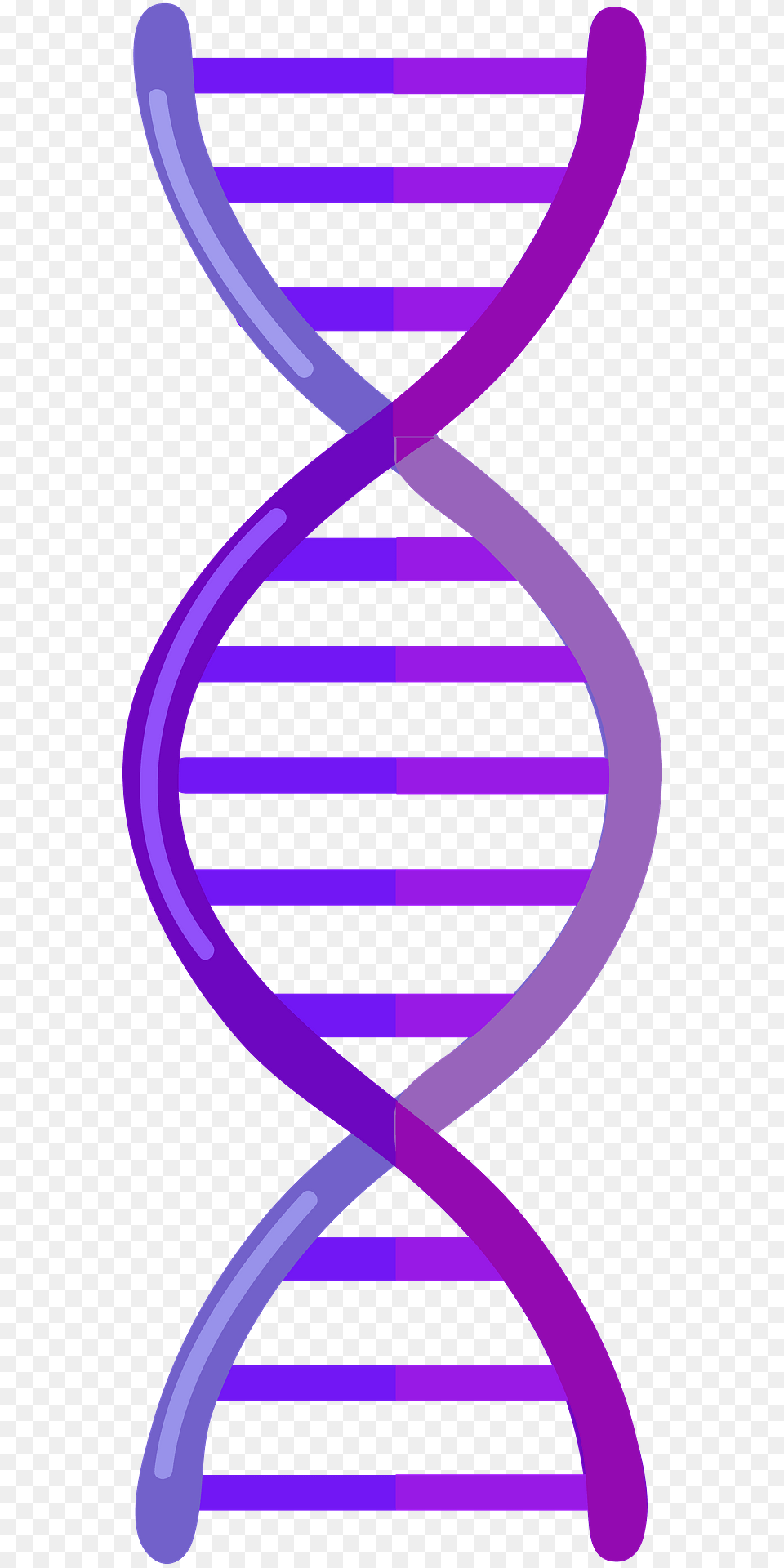 Dna Clipart, Purple, Bow, Weapon Free Transparent Png
