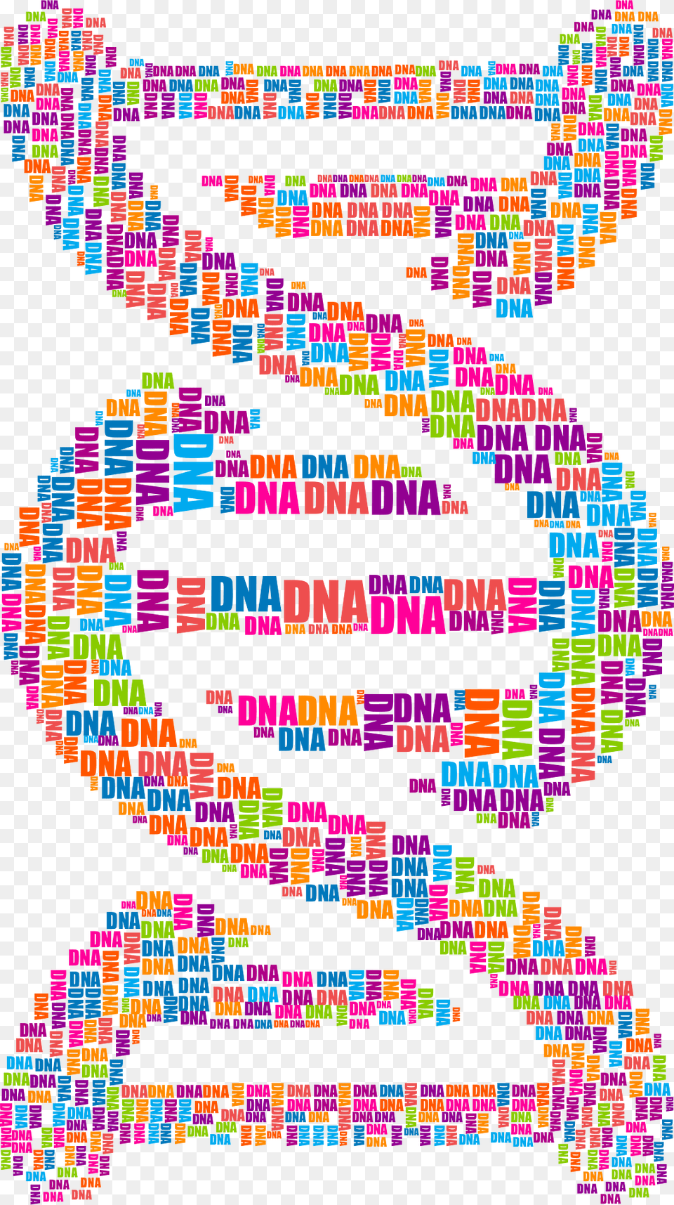 Dna Clipart, Pattern, Art Free Transparent Png