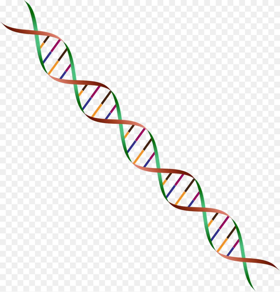 Dna Clipart, Pattern, Spiral, Dynamite, Weapon Free Transparent Png