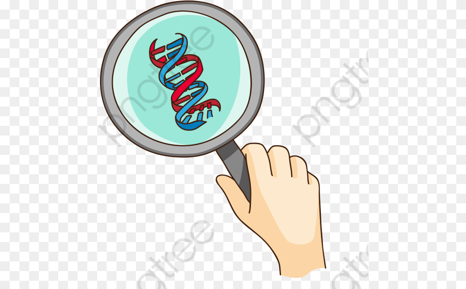 Dna Clipart, Clothing, Glove, Body Part, Hand Png