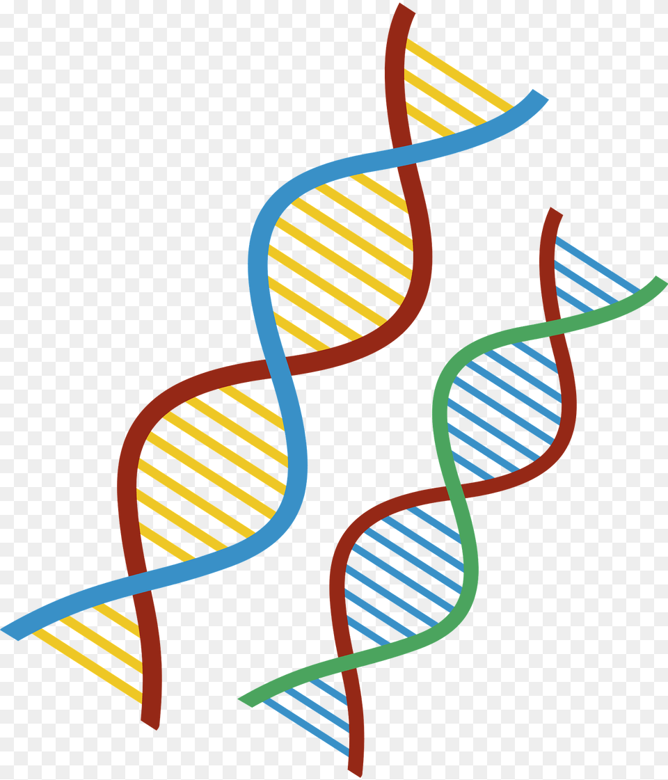 Dna Clipart, Bow, Weapon, Pattern, Art Free Png