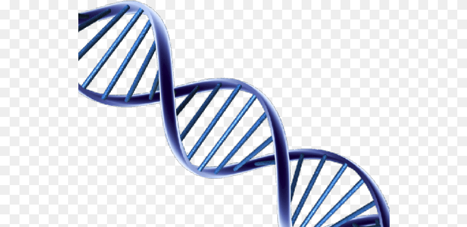 Dna Clipart Dna Structure For Background, Architecture, Building, House, Housing Png