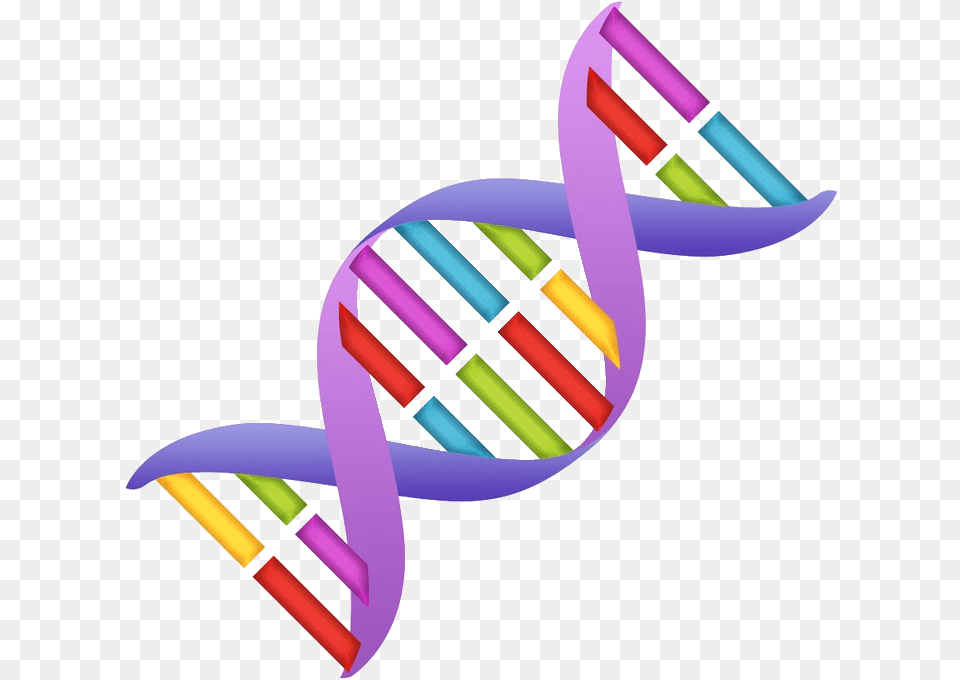 Dna Clipart Nucleic Acid, Art, Graphics Free Png