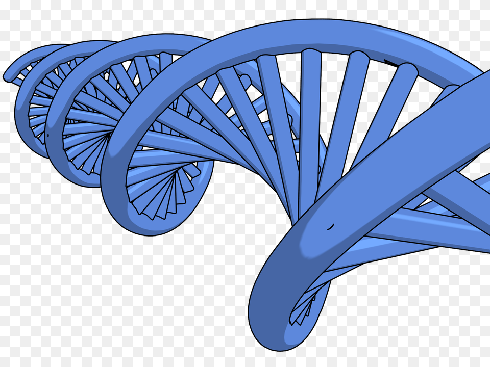 Dna Clipart Picture, Arch, Architecture, Coil, Spiral Free Png