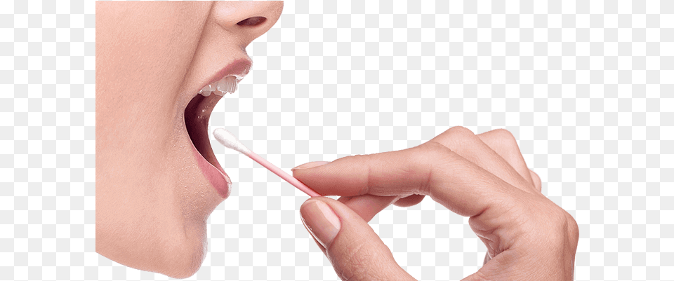 Dna Courtesy Swab Dna, Body Part, Mouth, Person, Smoke Pipe Png Image