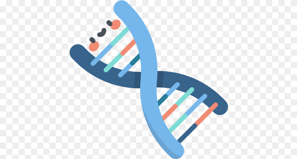 Dna Dna, Brush, Device, Tool, Smoke Pipe Free Transparent Png