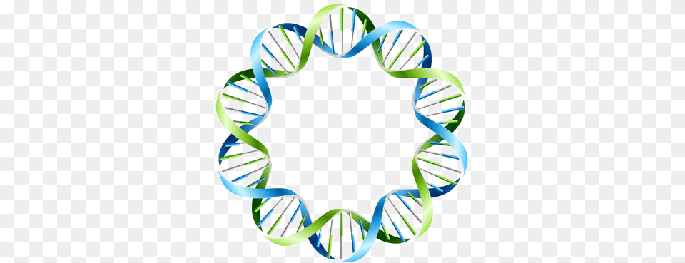 Dna Dna Circles, Accessories, Bracelet, Jewelry, Spiral Free Png Download