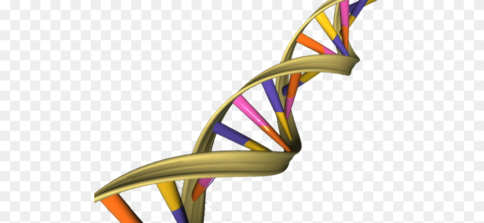 Dna Double Helix Dna, Architecture, Building, House, Housing Png Image