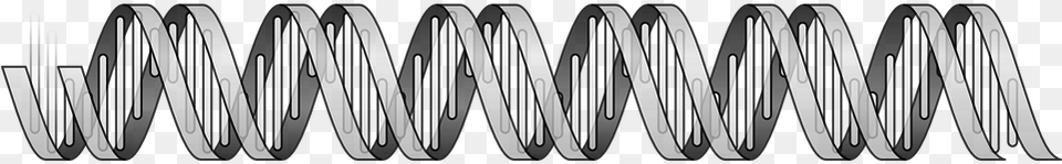 Dna Double Helix Genome Human Biology Life Dna Double Helix, Coil, Spiral Png