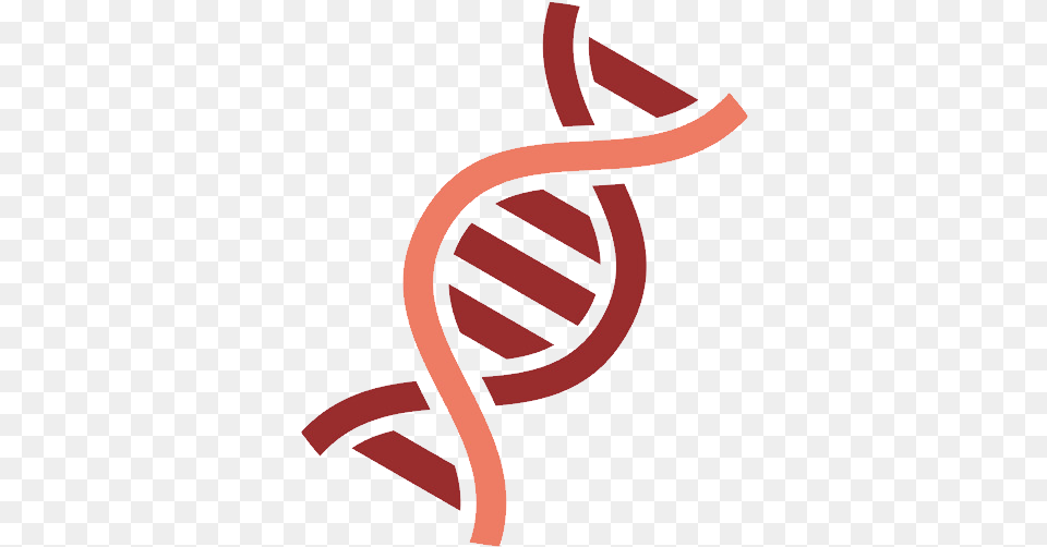 Dna Gene, Dynamite, Weapon Png Image