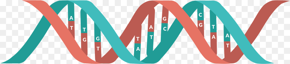 Dna Genetics Clipart Dna Clipart, Logo, Coil, Spiral Png