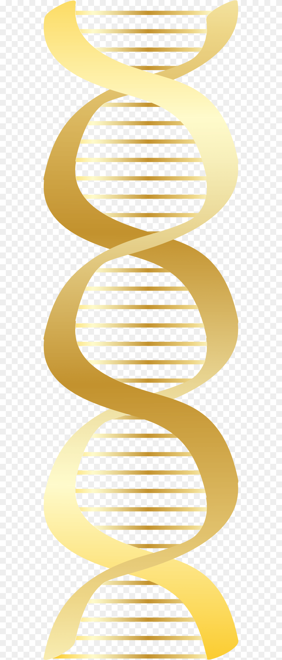 Dna Gold Clipart, Coil, Spiral, Home Decor, Bow Png