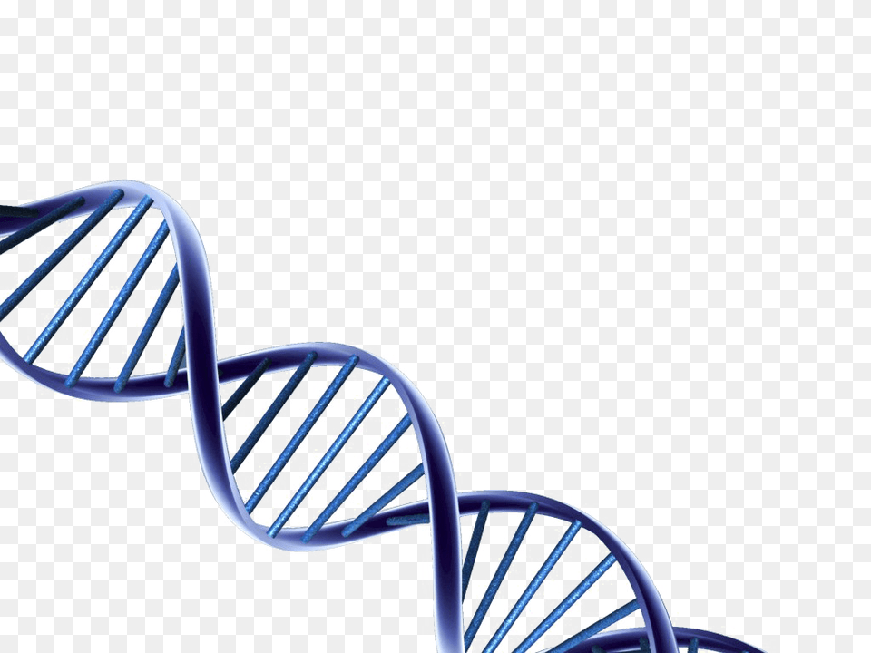 Dna Hd Psa Prostate Cancer Research, Architecture, Spiral, Housing, House Png Image