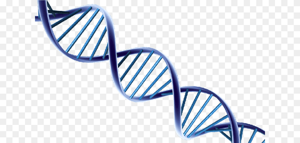 Dna Helix Clipart, Architecture, Building, Coil, House Png Image