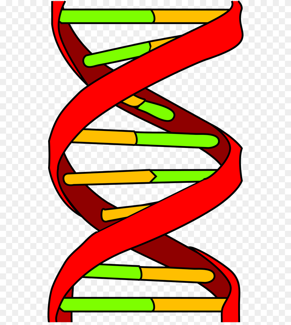 Dna Icon, Coil, Spiral, Dynamite, Weapon Png