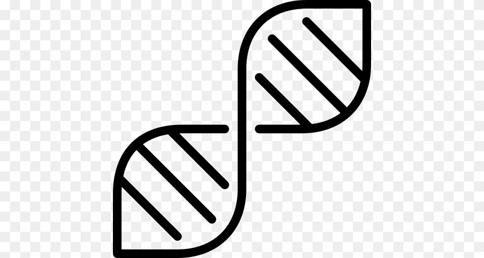 Dna Icon, Gray Free Png