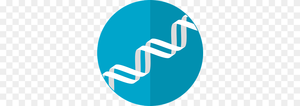 Dna Icon Disk, Coil, Spiral, Cutlery Free Transparent Png
