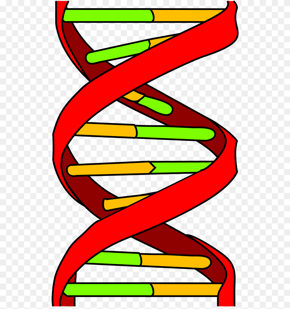 Dna Icon, Coil, Spiral, Dynamite, Weapon Free Transparent Png