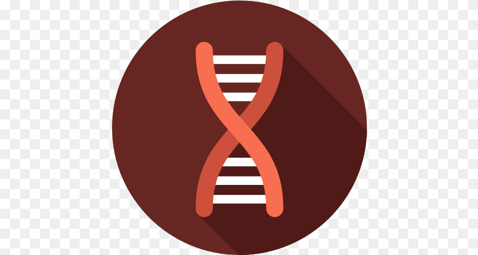Dna Icon Biology Icon Circle 512x512 Clipart Dna Icon Circle, Smoke Pipe Png Image