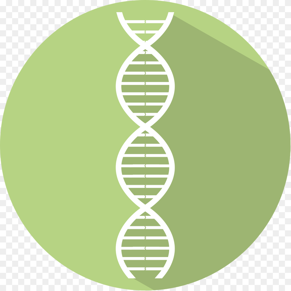 Dna Icon Green, Accessories, Tie, Formal Wear, Home Decor Free Png Download