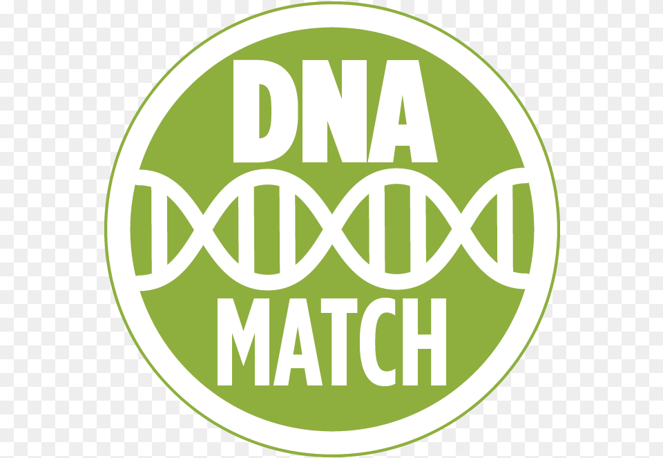 Dna Icons Genealogy Family Tree Icon Ancestry Dna Match Icon, Logo, Disk Png