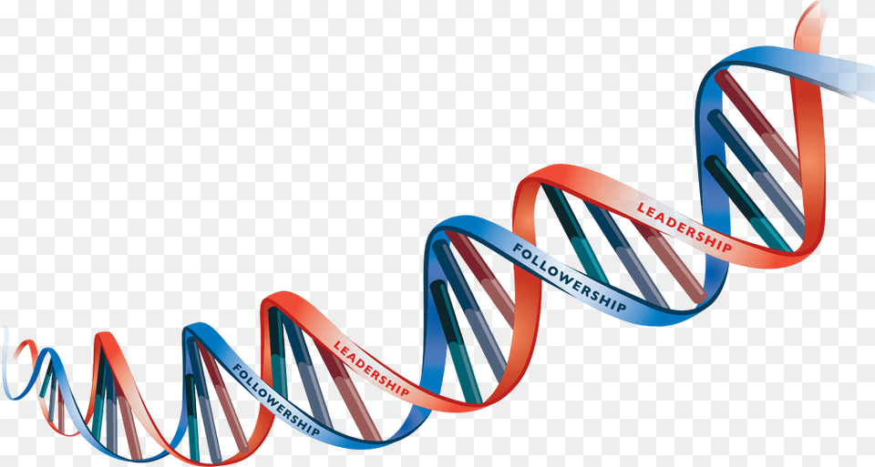 Dna Images Download, Spiral, Coil, Hoop, Accessories Png