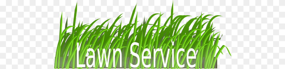 Dna Lawn Service Clip Art, Grass, Green, Plant, Vegetation Free Transparent Png