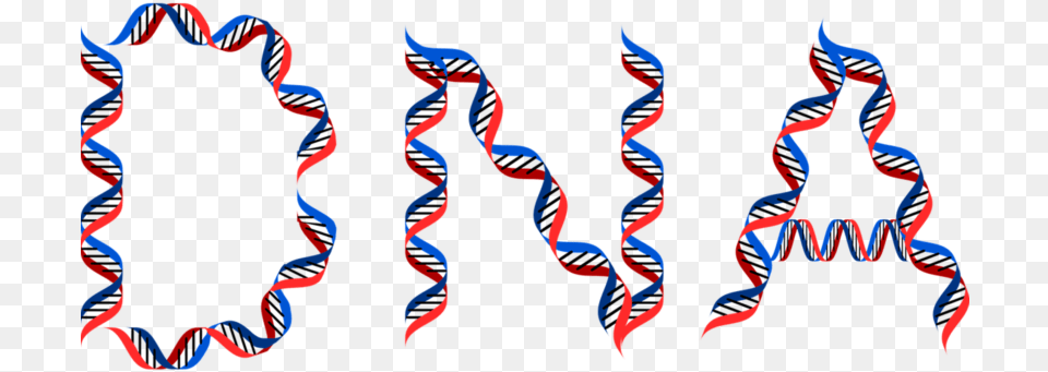 Dna Learning Center Archives, Pattern, Person Free Png