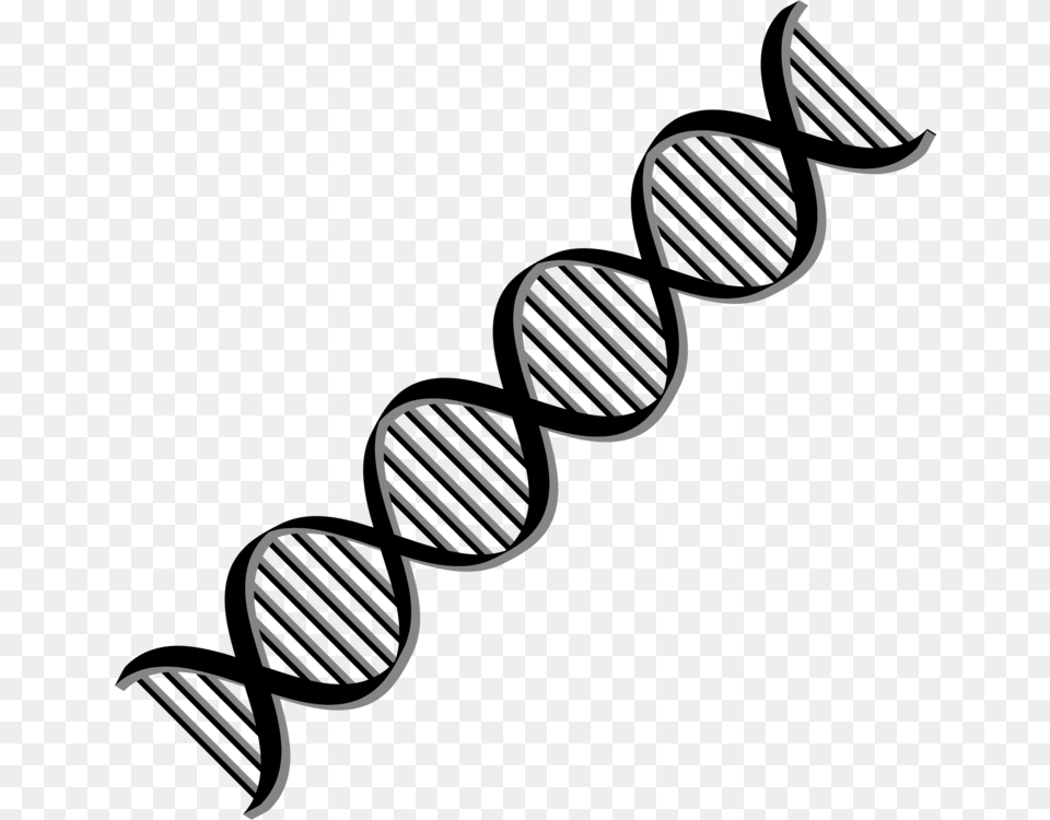 Dna Nucleic Acid Double Helix Computer Icons Cell, Spiral Png