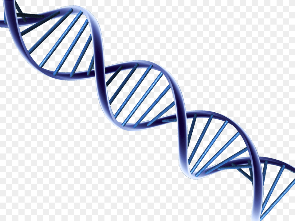 Dna Picture Psa And Prostate Cancer Research, Architecture, Building, House, Housing Free Transparent Png