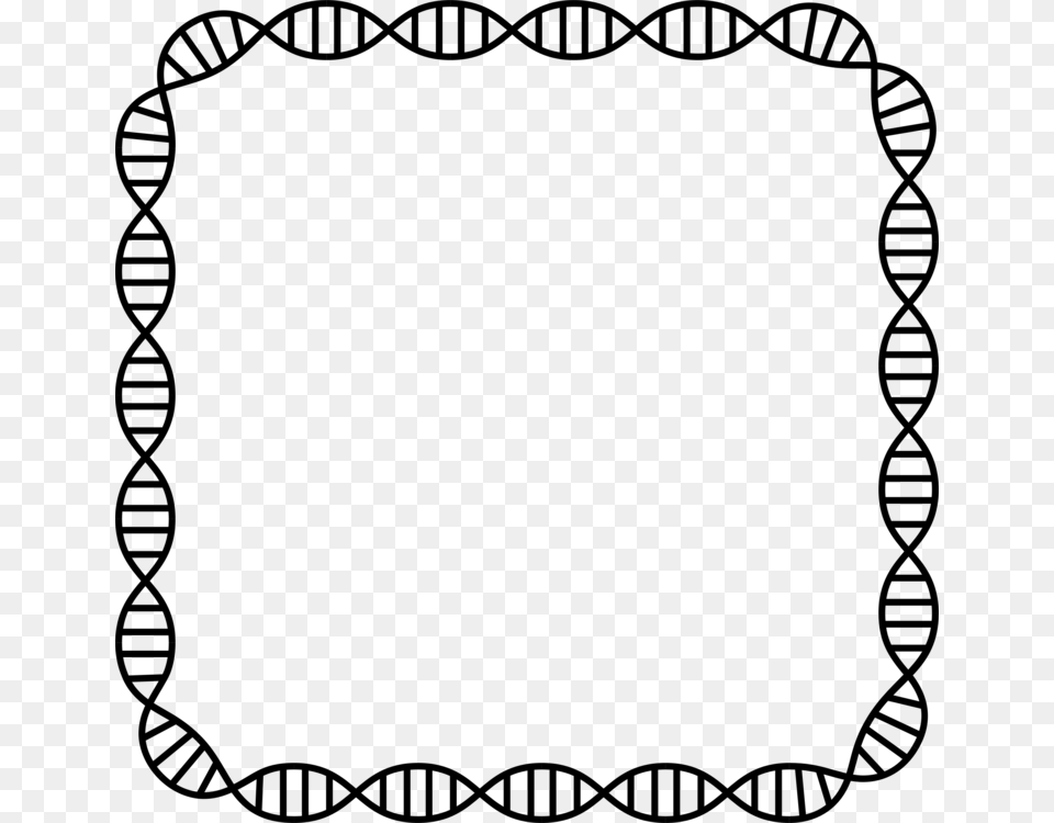 Dna Profiling Borders And Frames Genetics Nucleic Acid Double, Gray Free Png Download