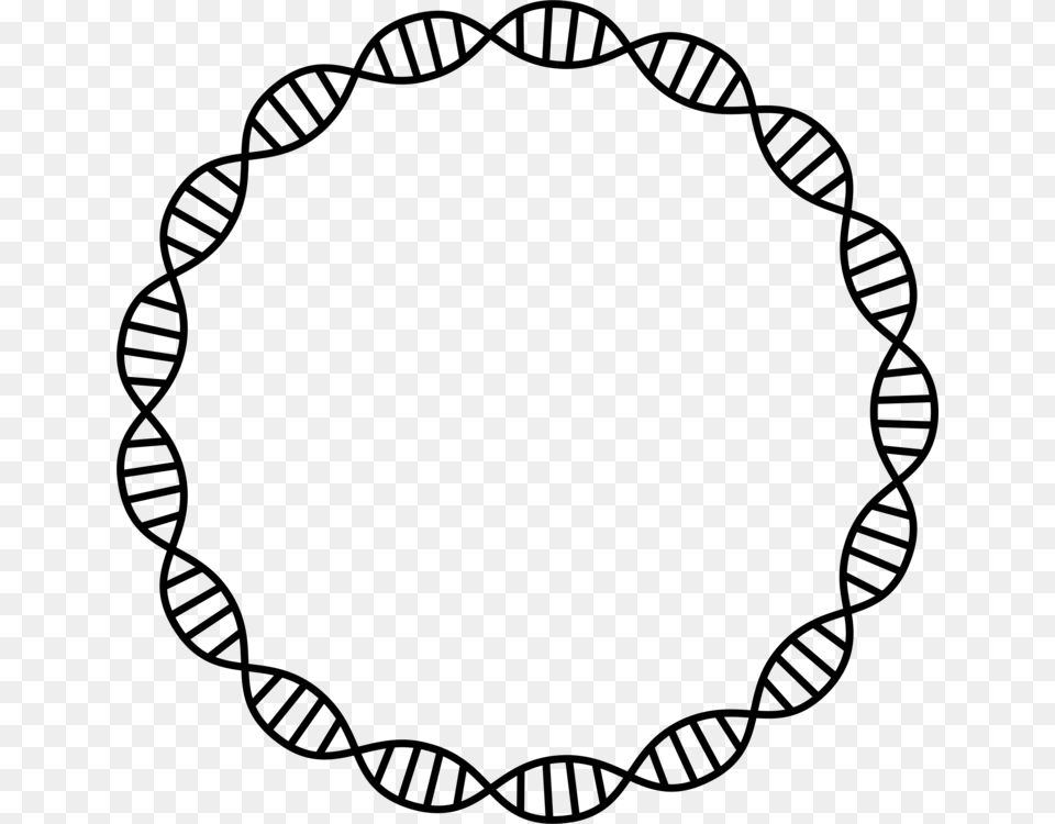 Dna Profiling Nucleic Acid Double Helix Crs Baltimore Orioles, Gray Png Image