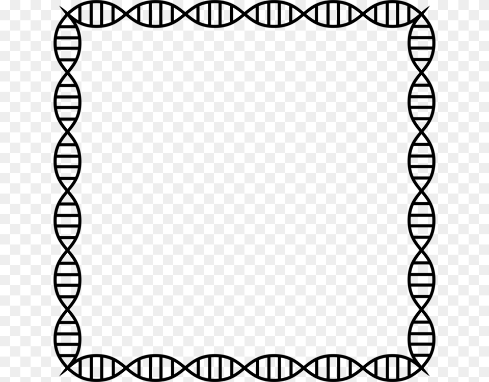 Dna Profiling Nucleic Acid Double Helix Film Frame Genetics Free, Gray Png Image