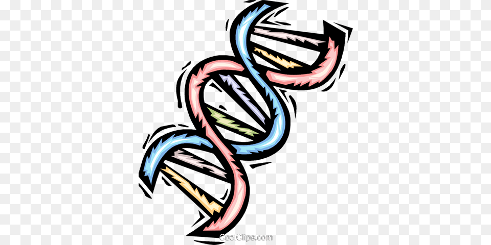 Dna Royalty Vector Clip Art Illustration, Graphics Free Png Download