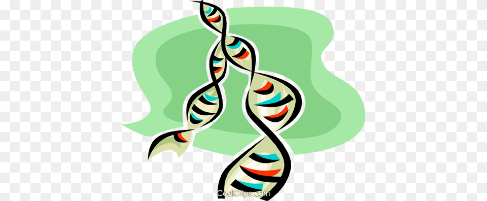 Dna Royalty Vector Clip Art Illustration, Graphics, Water, Sea, Outdoors Free Transparent Png