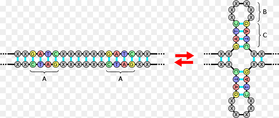 Dna Sequence In A Elephant, Game, Super Mario Free Transparent Png