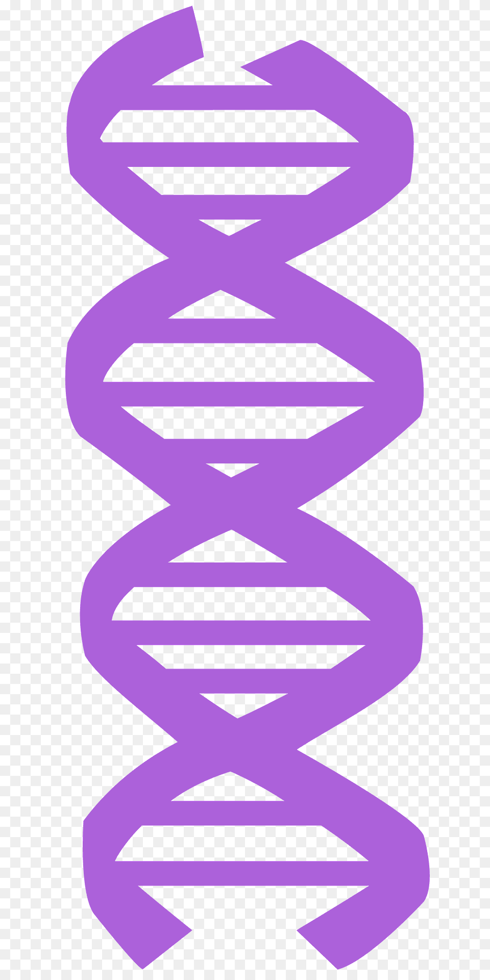 Dna Silhouette, Coil, Spiral, Purple Free Transparent Png