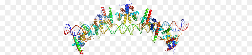 Dna Strand 1 S48 Dna Strand 2 Tubr Of The Pxo1 Graphic Design, Accessories, Art, Graphics Png Image