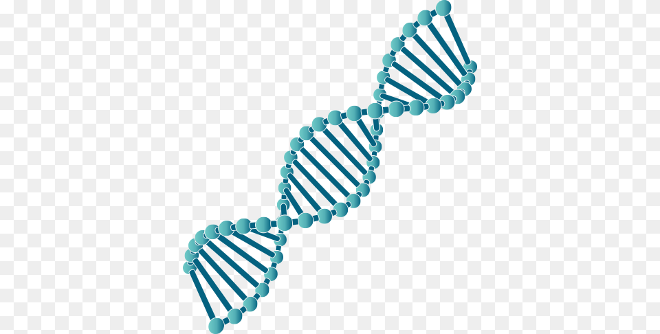 Dna Strand, Turquoise, Accessories, Jewelry, Necklace Free Png Download