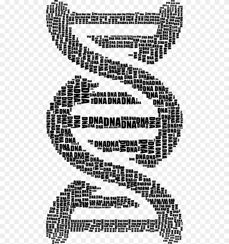 Dna Strand Word Cloud Typography Black Word Cloud Of Dna, Gray Free Png