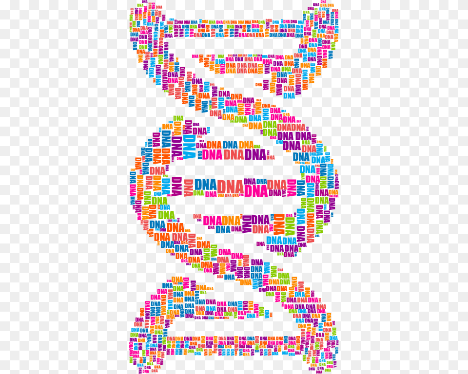 Dna Strand Word Cloud Typography Dna Strand Dna, Art, Person, Pattern Png Image