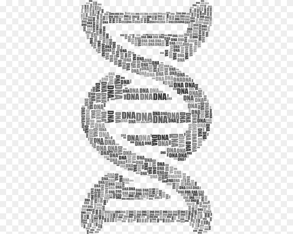 Dna Strand Word Cloud Typography Grayscale, Brick, Qr Code Free Png Download