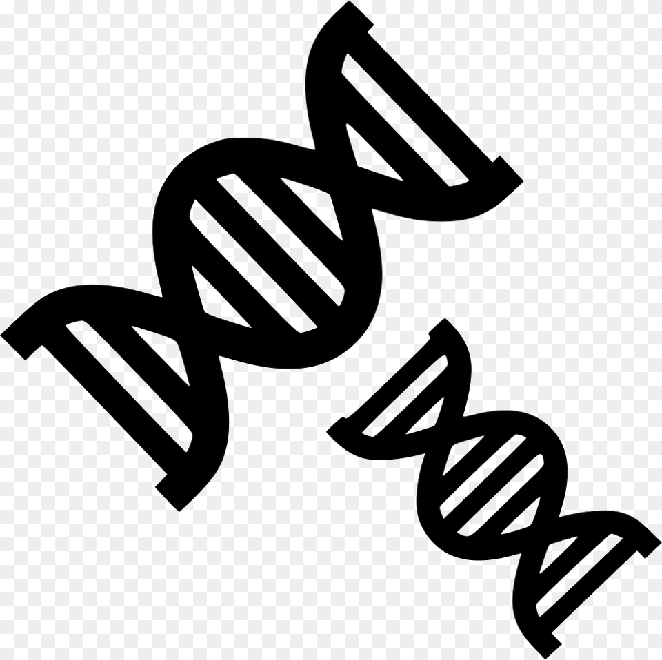 Dna Strands Chemistry Biology Evolution Genetics Comments Dna, Stencil, Text, Device, Grass Free Png Download