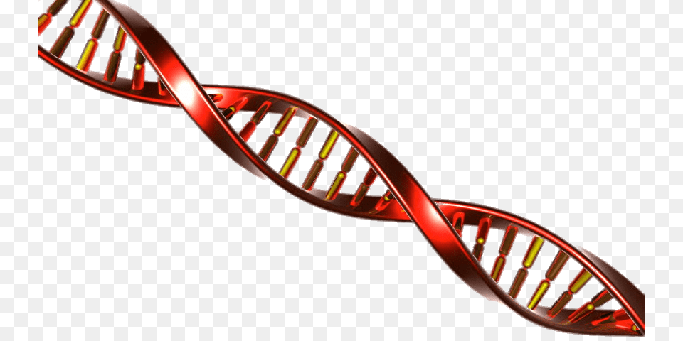 Dna String Red And Yellow, Handrail, Architecture, Building, House Free Transparent Png