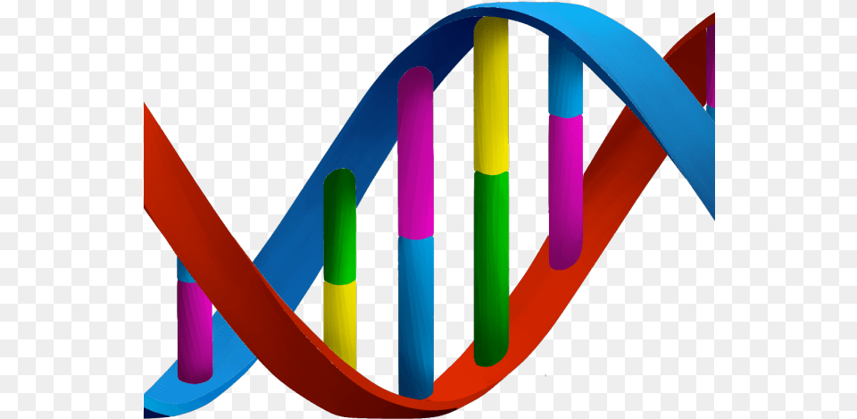 Dna Structure Clipart Dna Strand Dna, Art, Graphics, Logo, Field Hockey Png