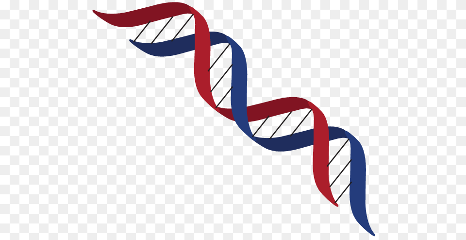 Dna Structure Clipart Transparent, Art, Smoke Pipe, Paper Png